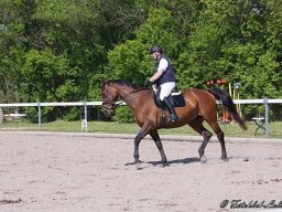 img-00121-521